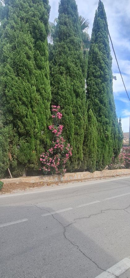 Coqueto Apartamento Murcia Kültér fotó